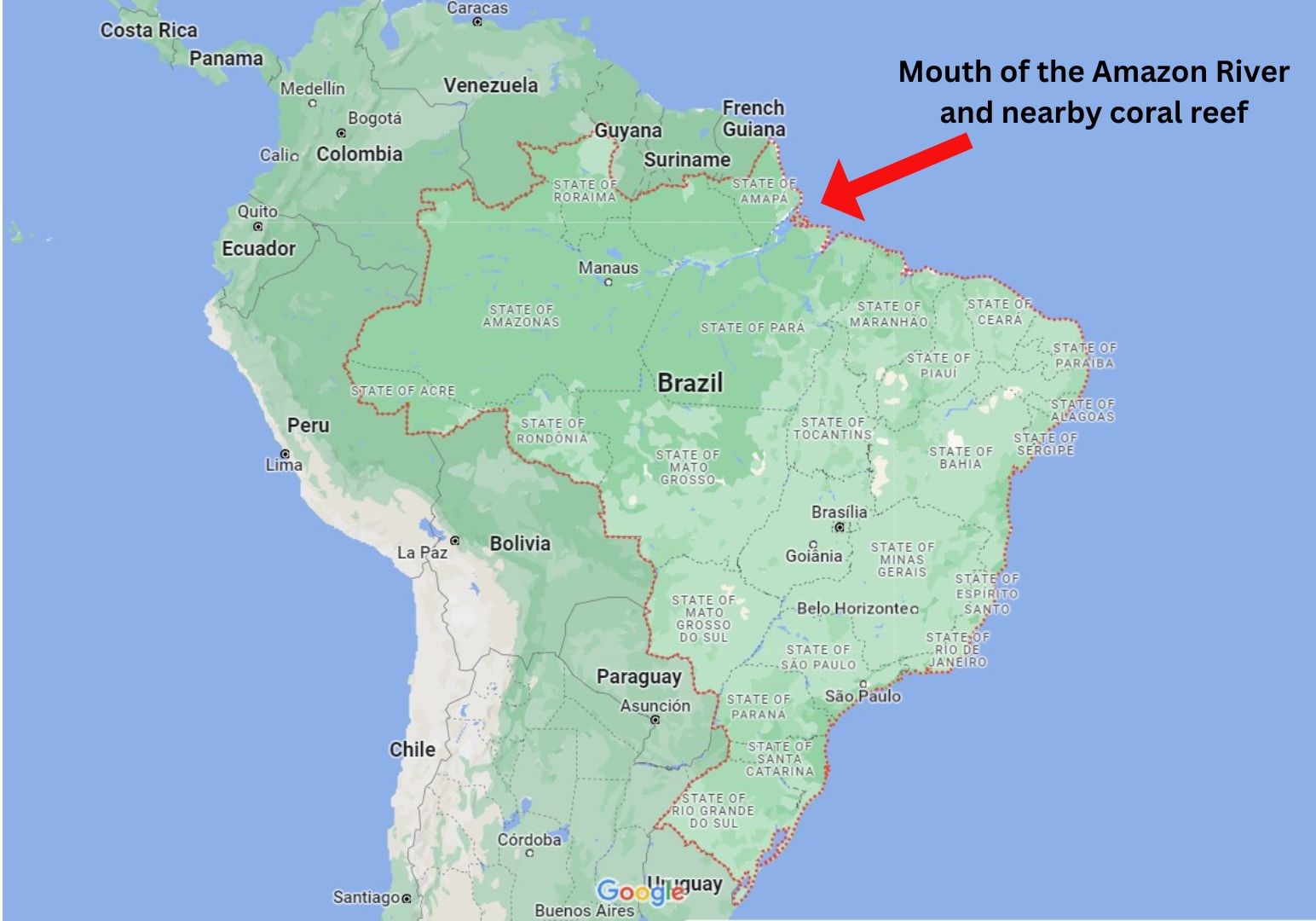 Brazil's battle over the Amazon's future and Indigenous rights - Youth ...